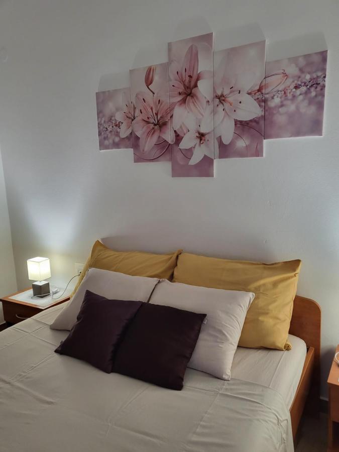 Licul Apartment Rovinj Exterior foto
